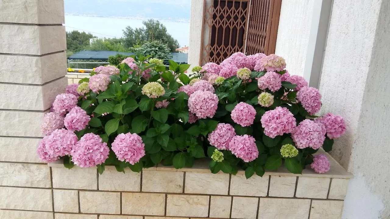 Villa Leone Slatine Chorvatsko